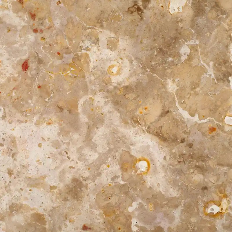Tavolino d'appoggio rotondo alto in marmo Ghicu di SAFAVIEH Couture - 55,8 cm L x 53,3 cm P x 61 cm A - 53,3x53,3x61 cm